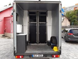 Renault Master, 2,3 DCi Přepravník na koně